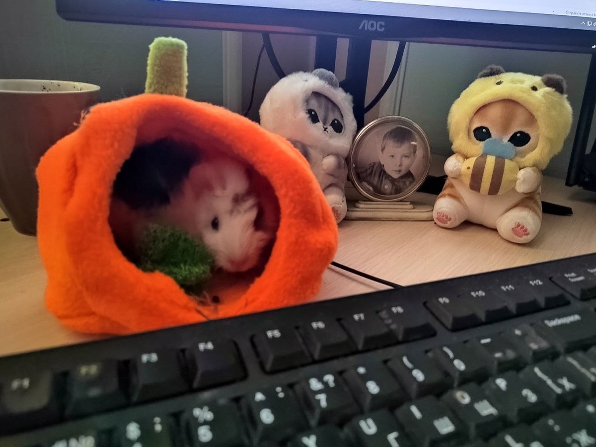 Любимая игрушка всегда рядом!