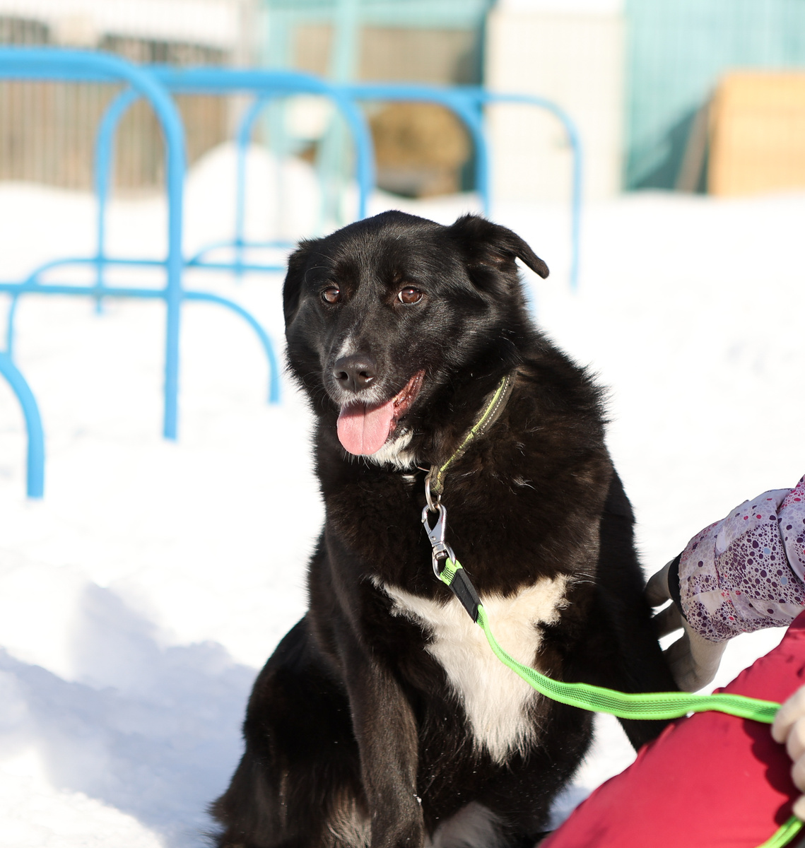 А такие разве люди существуют?