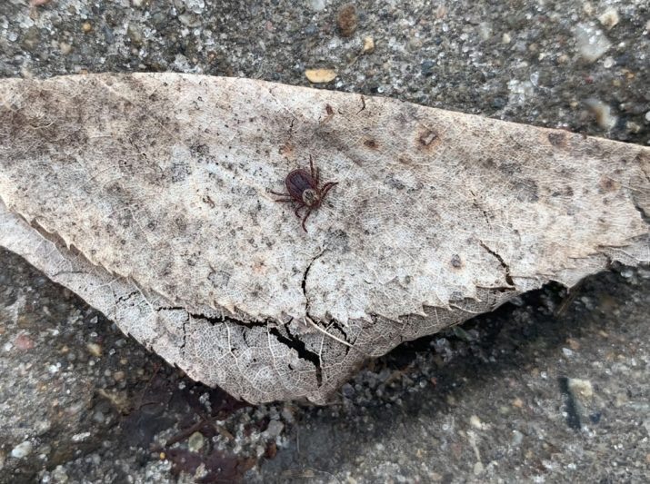 Фото: "Курская правда"