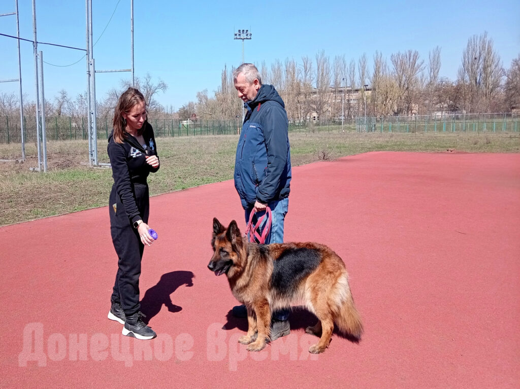 Немецкая овчарка осваивает азы ноузворка /Фото: Виктория Павлова