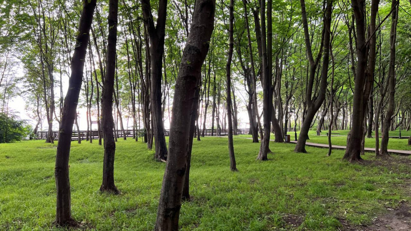    Первый городской канал Калининград