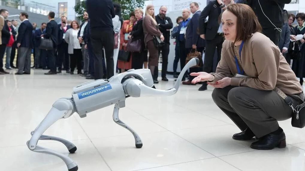    Фото: пресс-служба губернатора и правительства Московской области