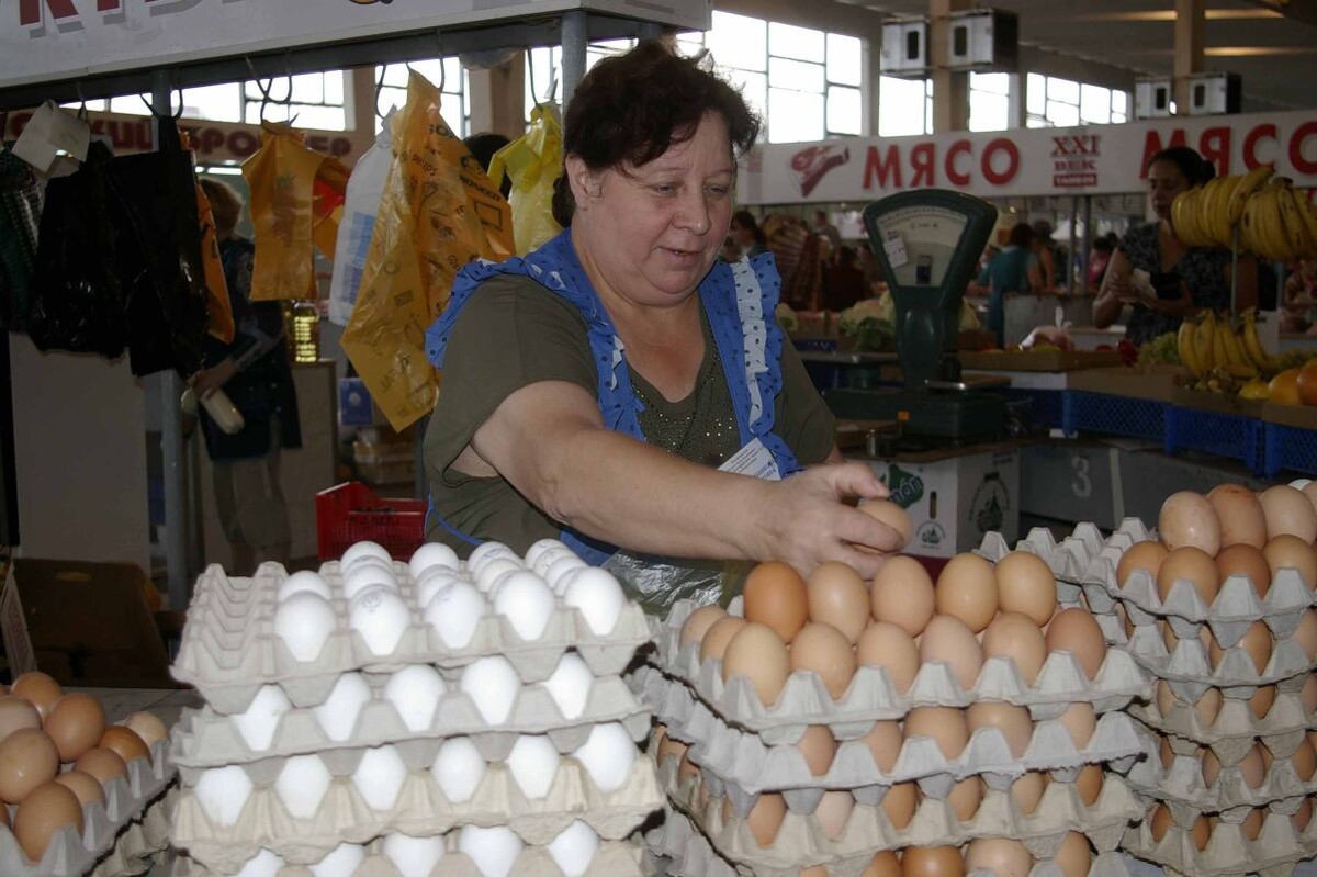    Фото: Павел Кашаев