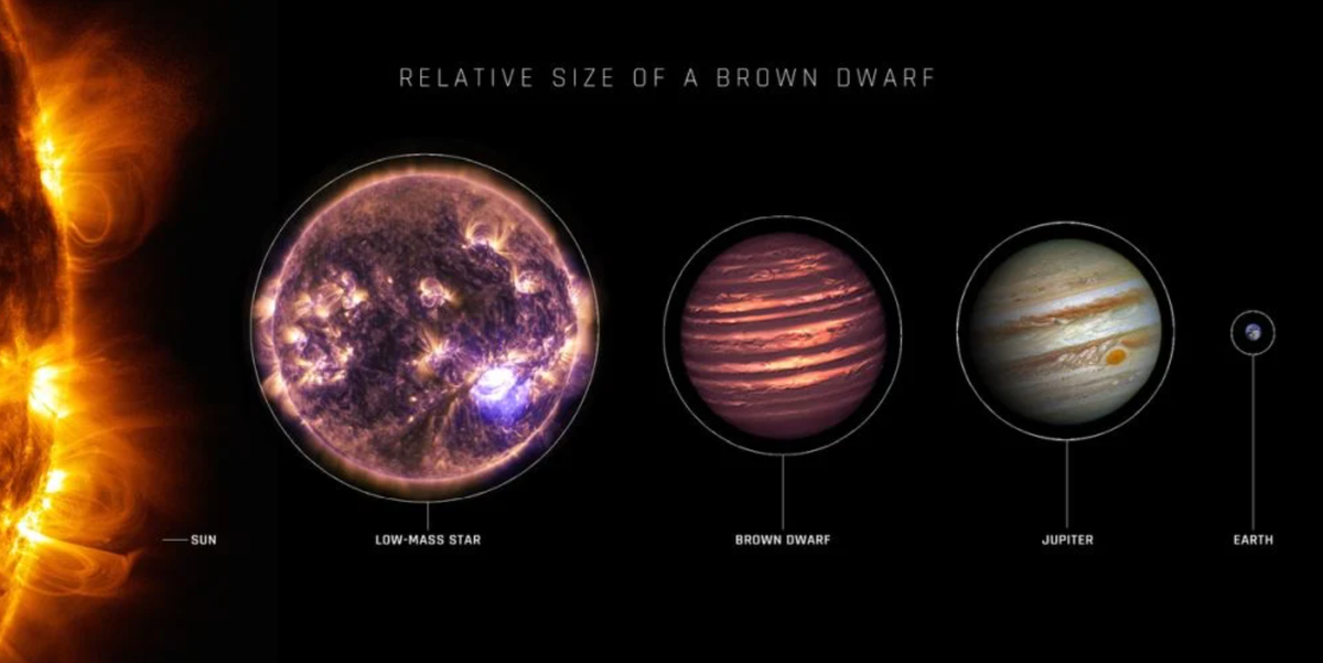    Относительные размеры Солнца, маломассивной звезды, коричневого карлика, Юпитера и Земли.
