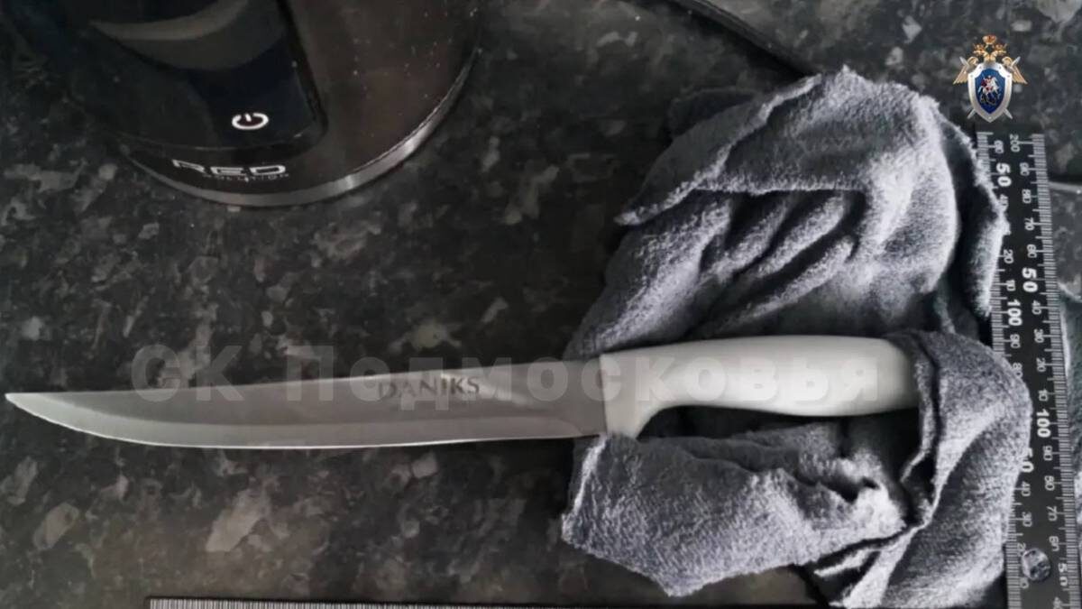    Фото: ГСУ СК России по Московской области