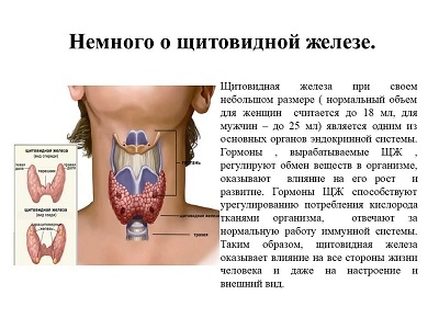 *изображение из открытого интнрнет источника