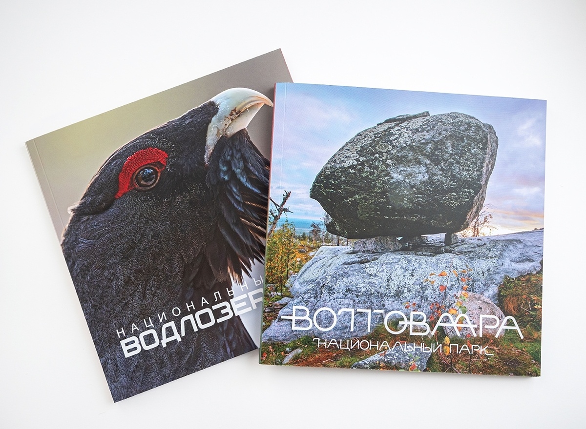    Фото: Пресс-служба национального парка «Водлозерский»