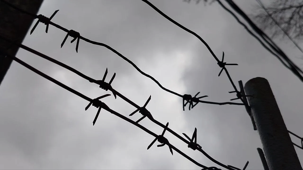    Фото: телеканал «Краснодар»