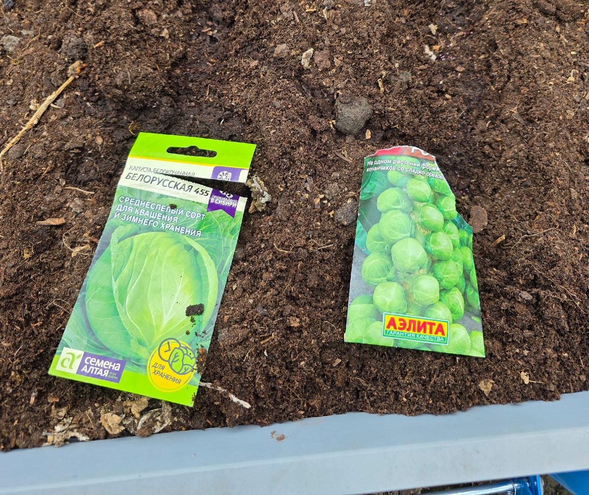 Фото для памяти