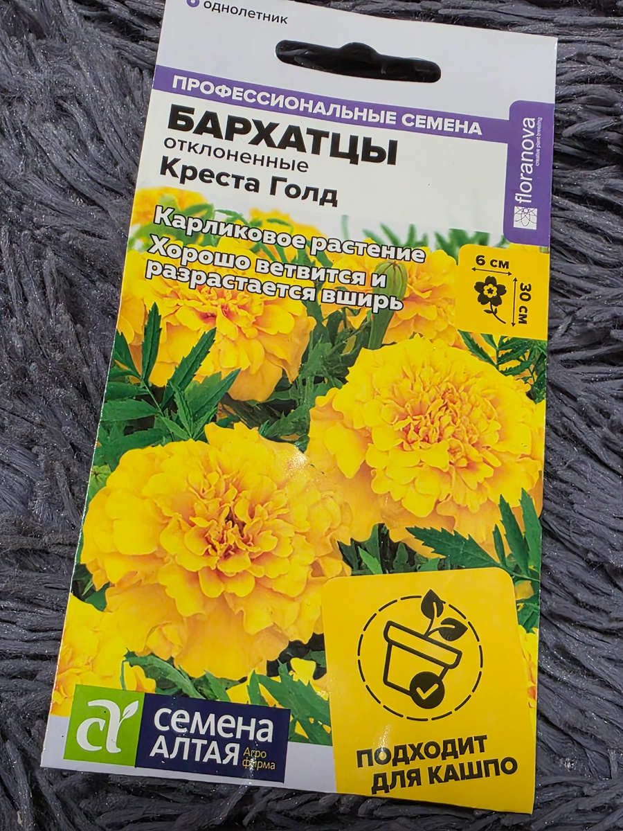 Эти цветочки сразу в кашпо посею