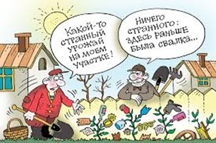 Земля на даче