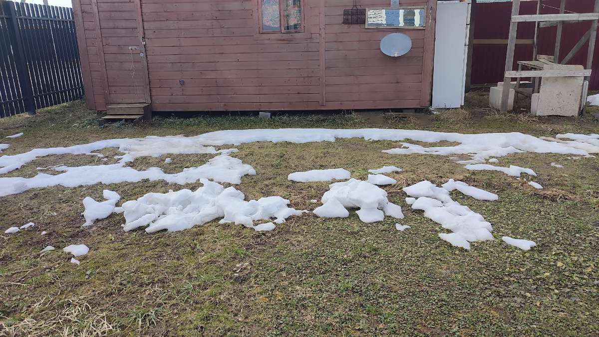 Вчера разбросала кучку снега, и сегдня он почти растаял