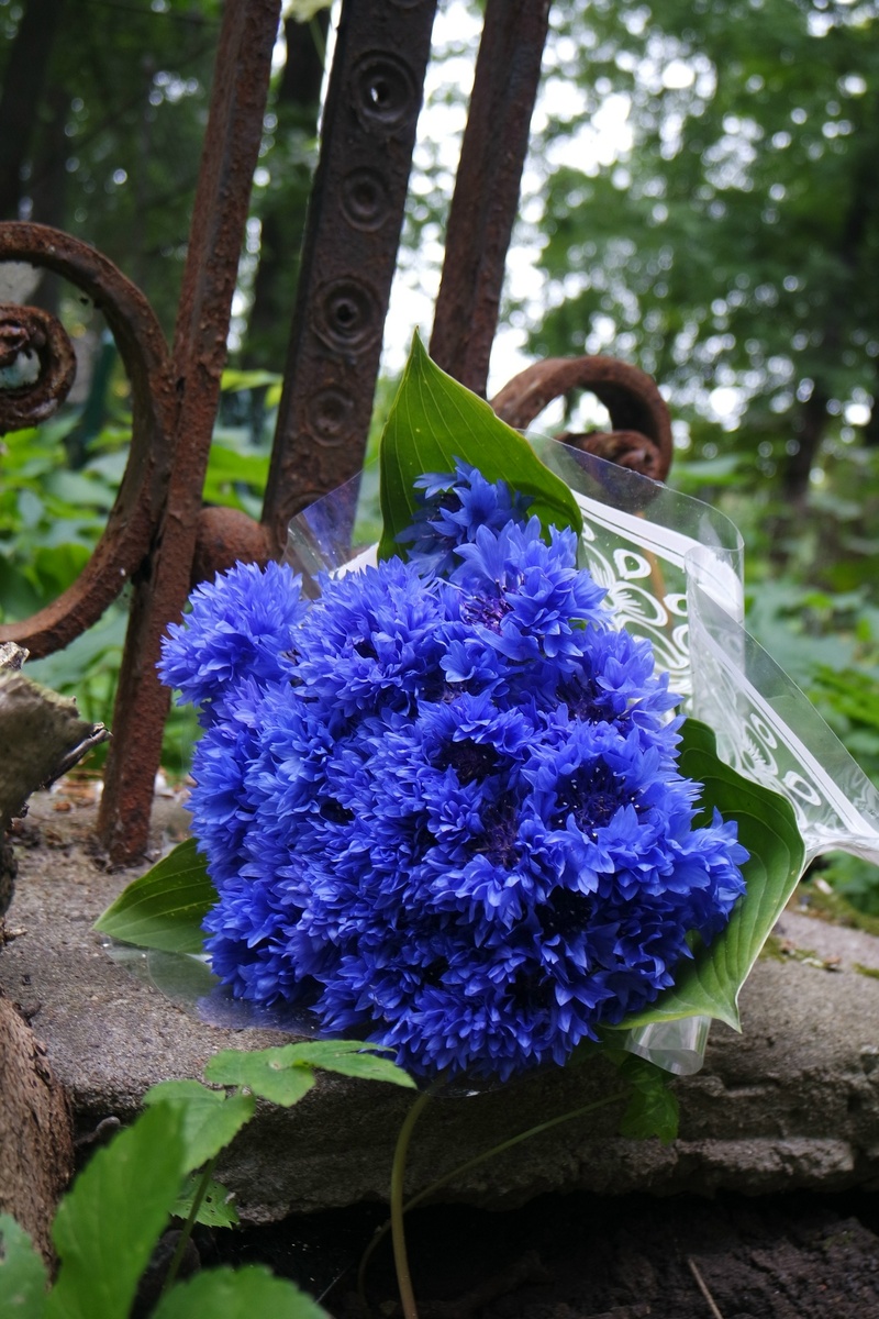 вот я поехала с цветочками на Волковское кладбище
