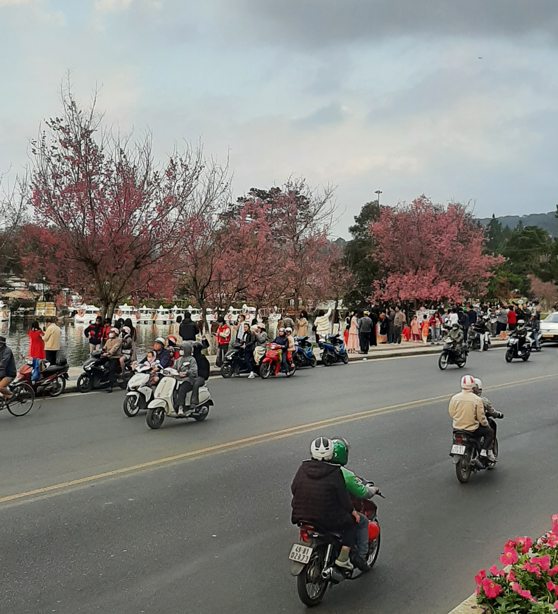 Дорога вдоль городского озера