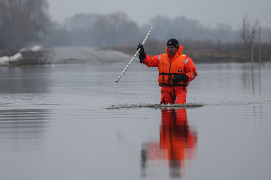   Алексей Белкин/NEWS.ru