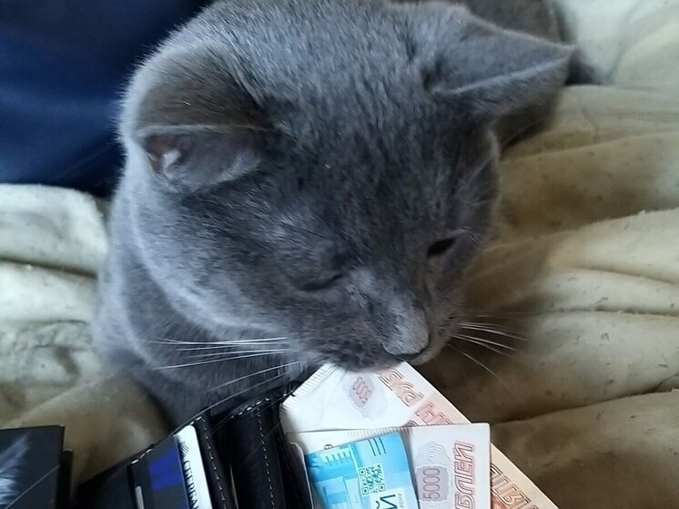     Фото: архив МК в Питере