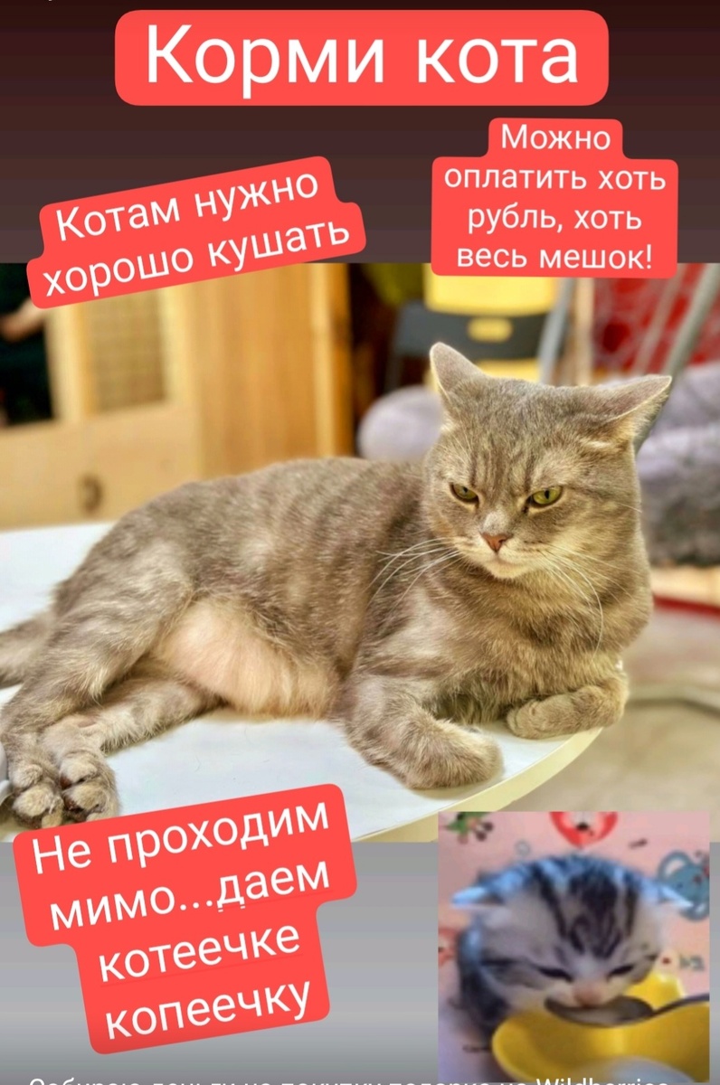 Семен наготове.