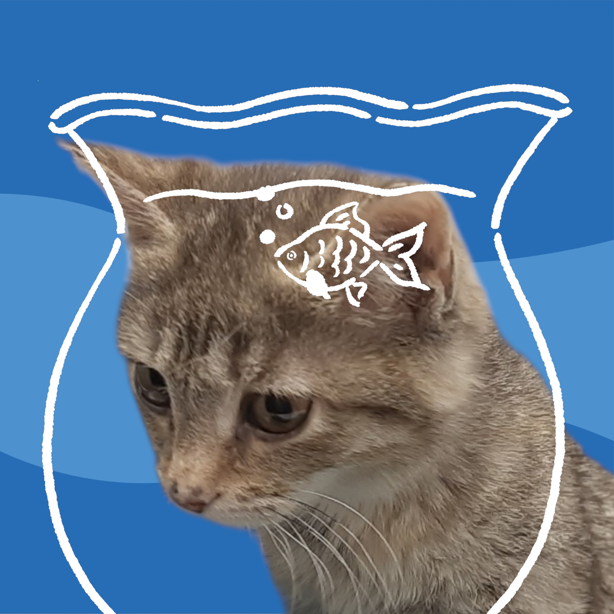 Ириска. Никаких пока рыбов. Только гастро.