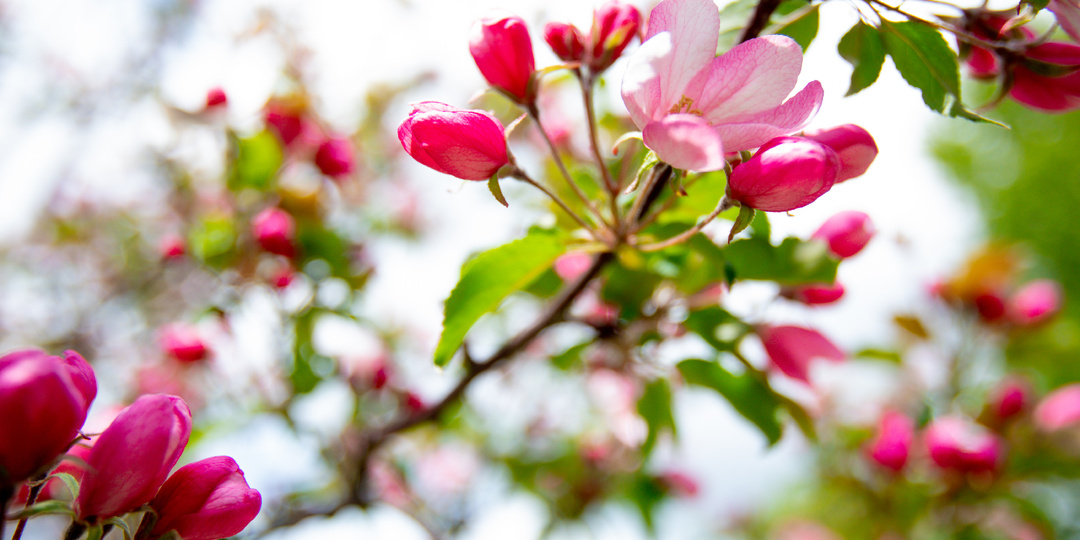 Как Парки Москвы готовятся к летнему сезону?