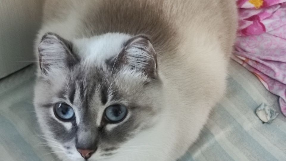 Как выжить в таком мире, где все против тебя?