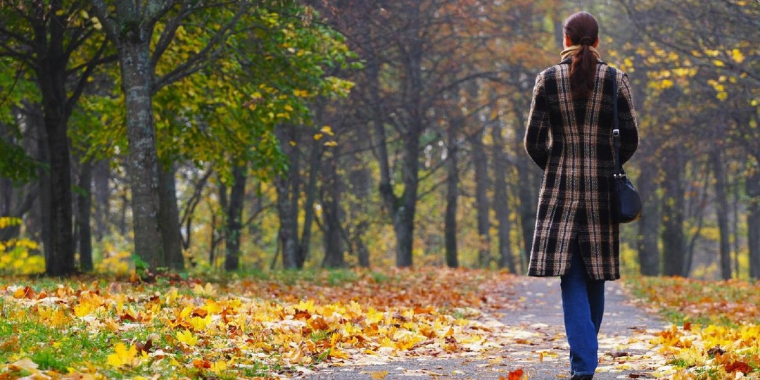 Свои не бросят