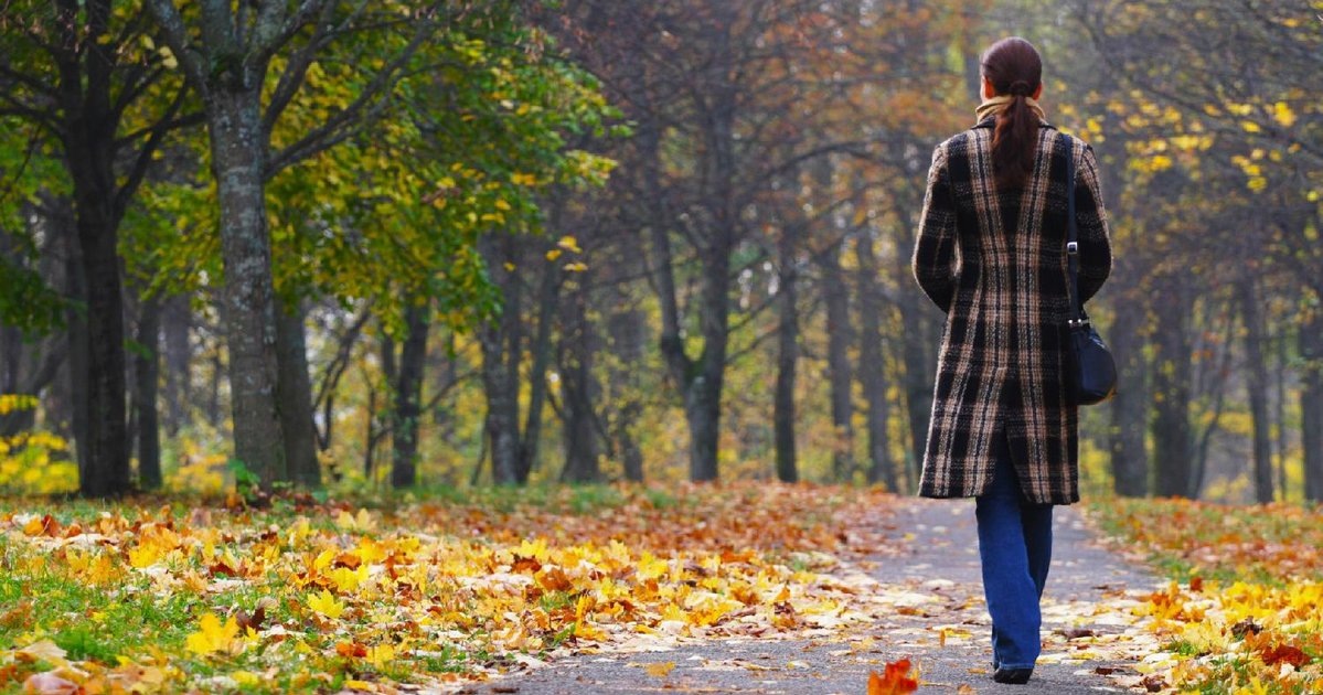 Фото из соцсетей.Она вернулась на Родину.