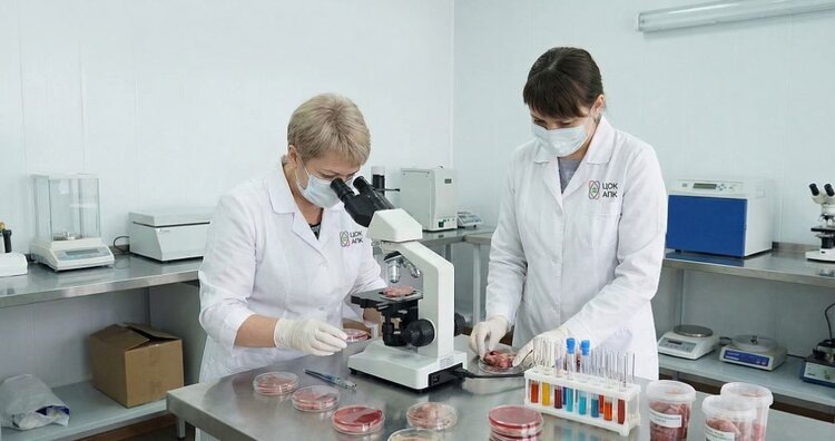    Фото: ФГБУ «ЦОК АПК»