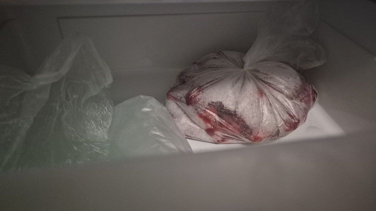    Фото: телеканал «Краснодар»