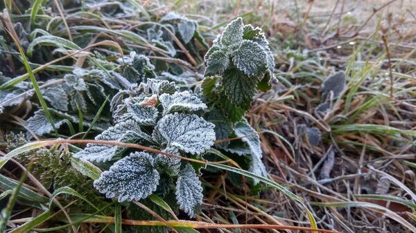    © РИА Новости Крым . Дмитрий Макеев