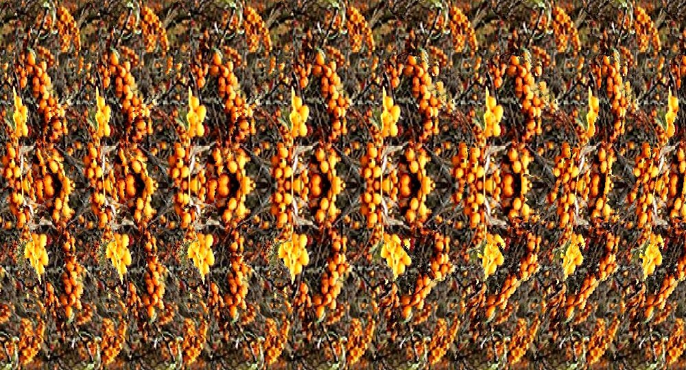 Новейшая подборка авторских стереограмм с птичками для улучшения зрения