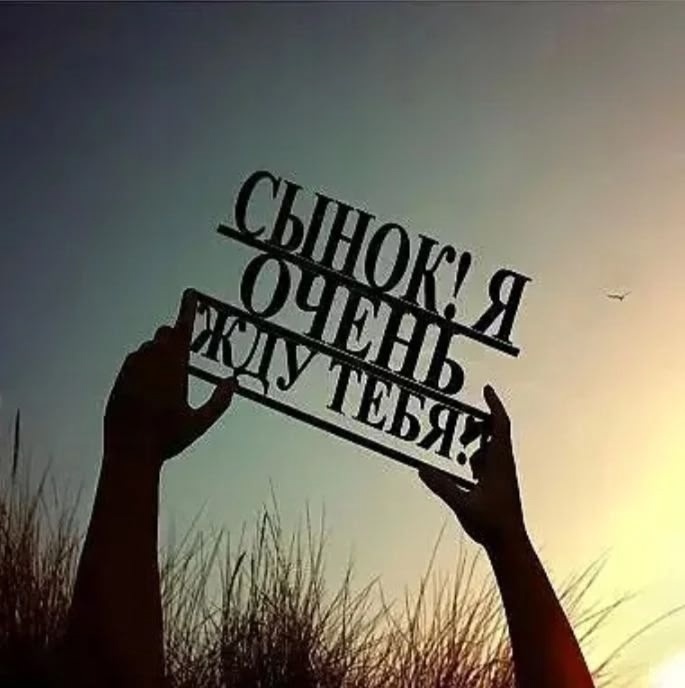 (фото из свободного доступа сети)