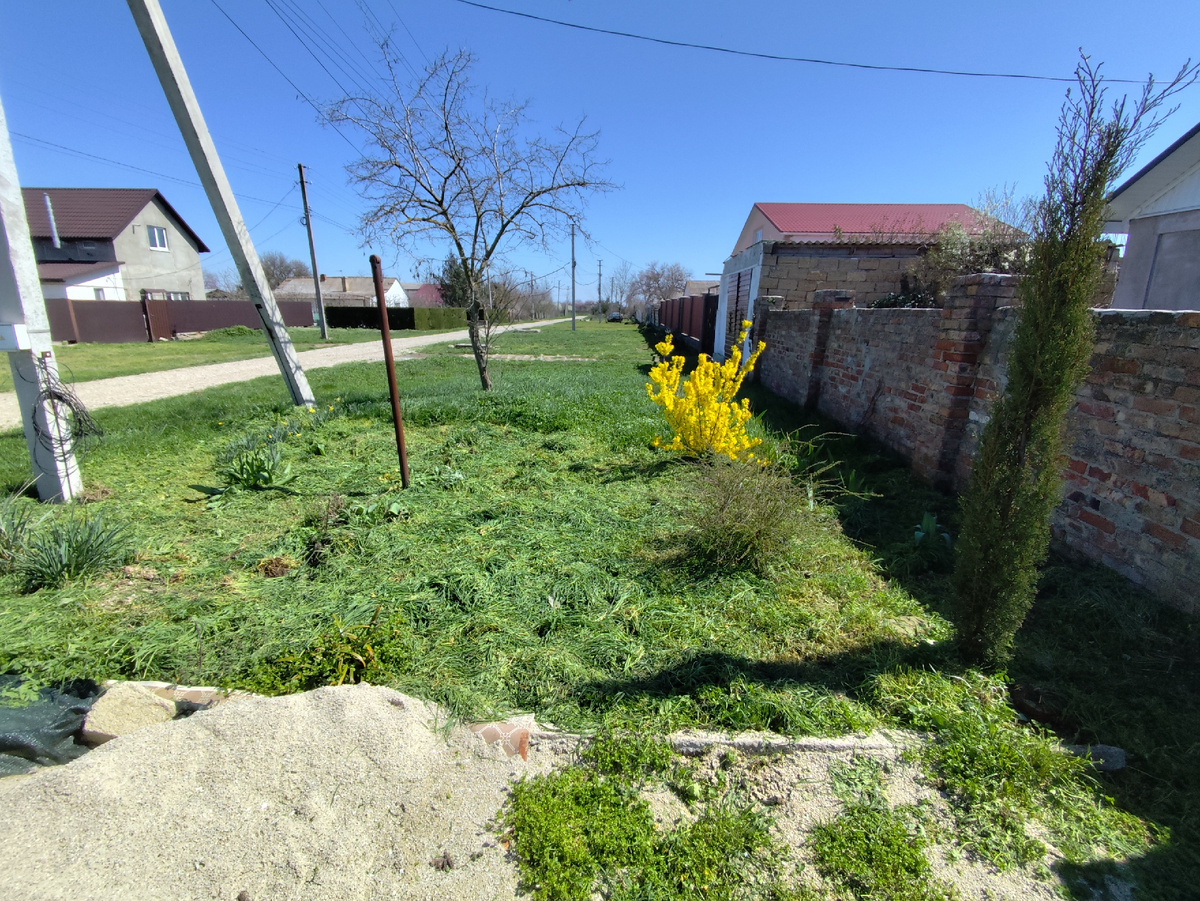 За два с небольшим часа половину осилила.