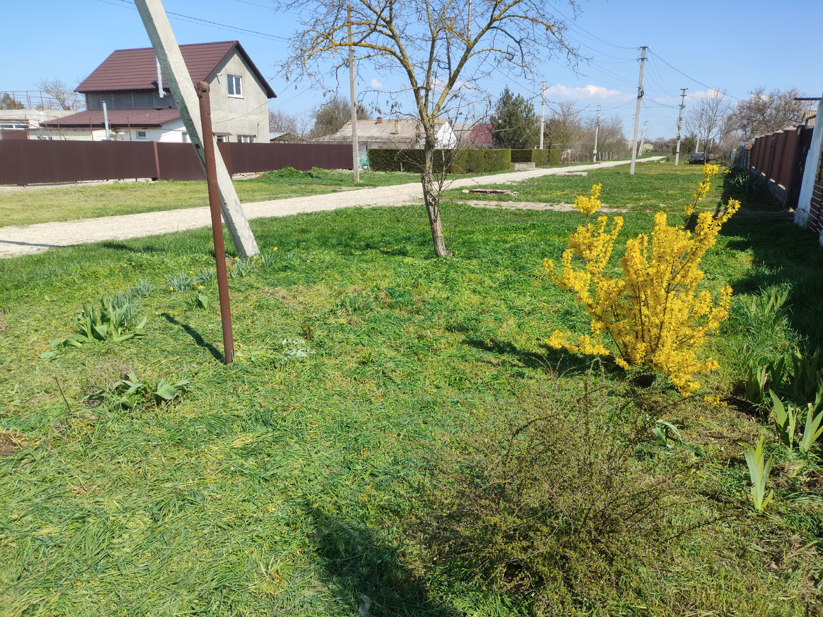 С этим участком почти всё.
