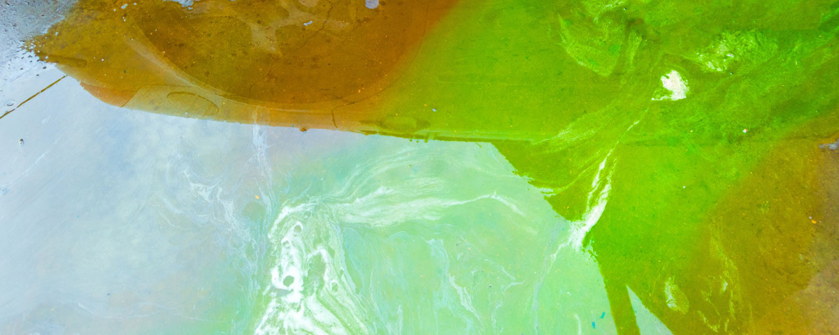 Источник изображения: lucky_pics / Shutterstock / FOTODOM