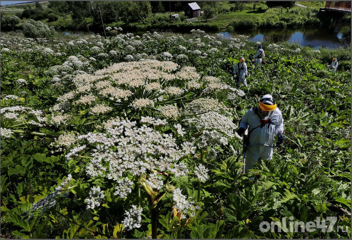 фото: Валентин Илюшин/Online47