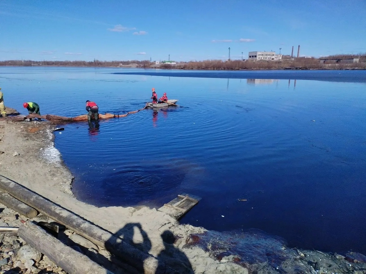    фото: © Минприроды РК