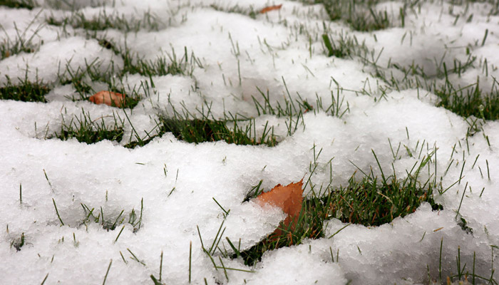 В Челябинской области ожидается трехдневный снегопад. Фото: 1MI