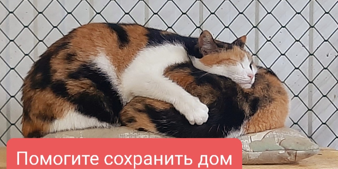 Апрельские аренды и прочие печали.