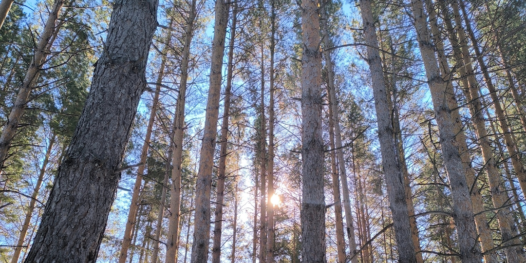Огородный блок, выходные на даче