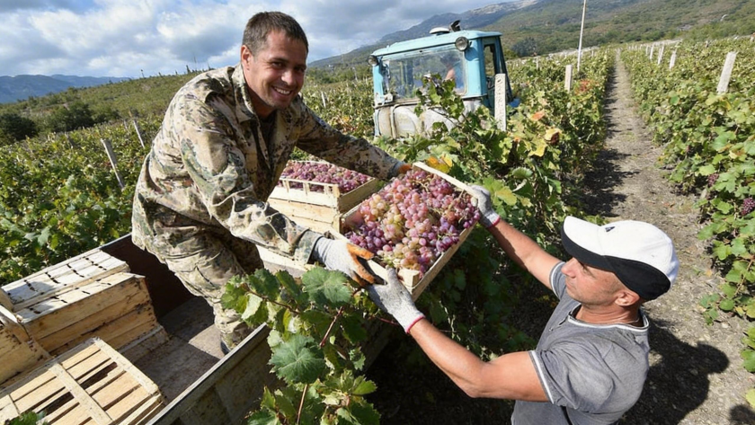    Фото: ИЗВЕСТИЯ/Архив «Известий»
