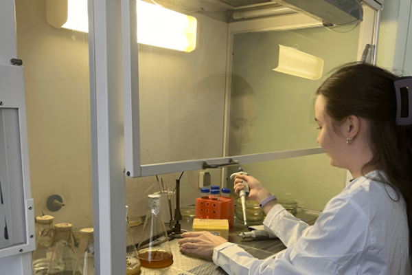 Пресс-служба ПНИПУ   📷