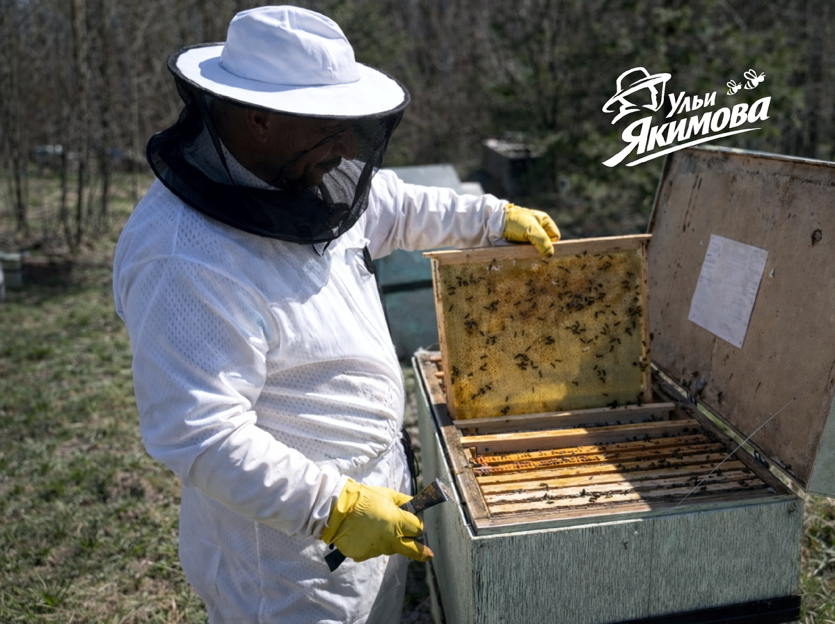 Ульи Якимова