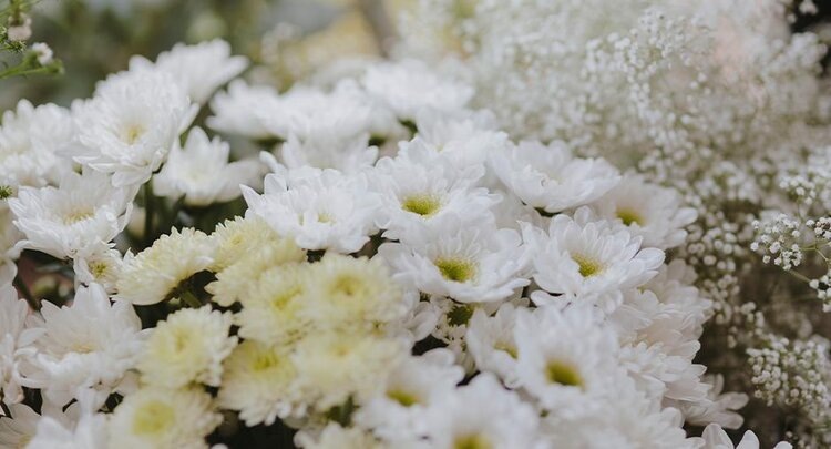    Фото: ФГБУ ЦОК АПК