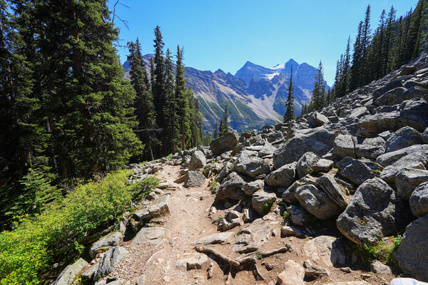 Alexandre.ROSA/Shutterstock/FOTODOM   📷