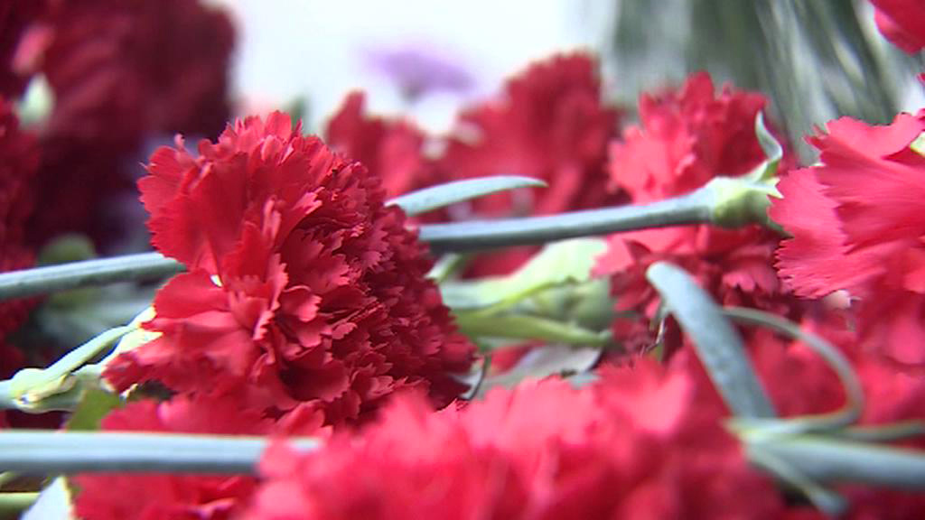    Кадр телеканала "Россия 24"