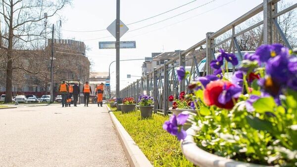    © Telegram-канал главы Симферополя Михаила Афанасьева