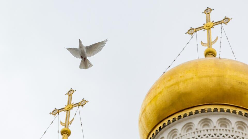 Фото: © Михаил Синицын/ТАСС