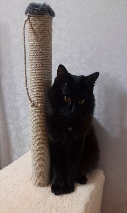 Ну я же молодец?» — спрашивает он. И я каждый раз отвечаю: «Молодец, Лео, молодец