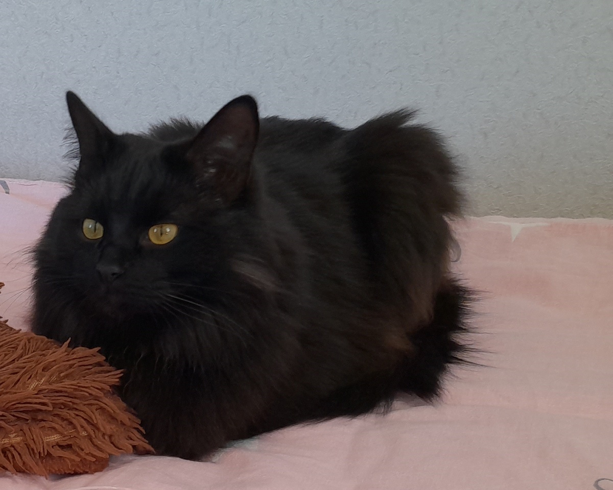 Лео ждёт, когда я встану. Взгляд уже включил режим «давай, не тяни».