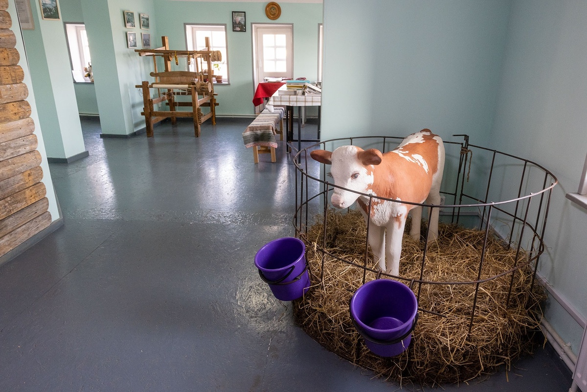    фото: © Илья Тимин